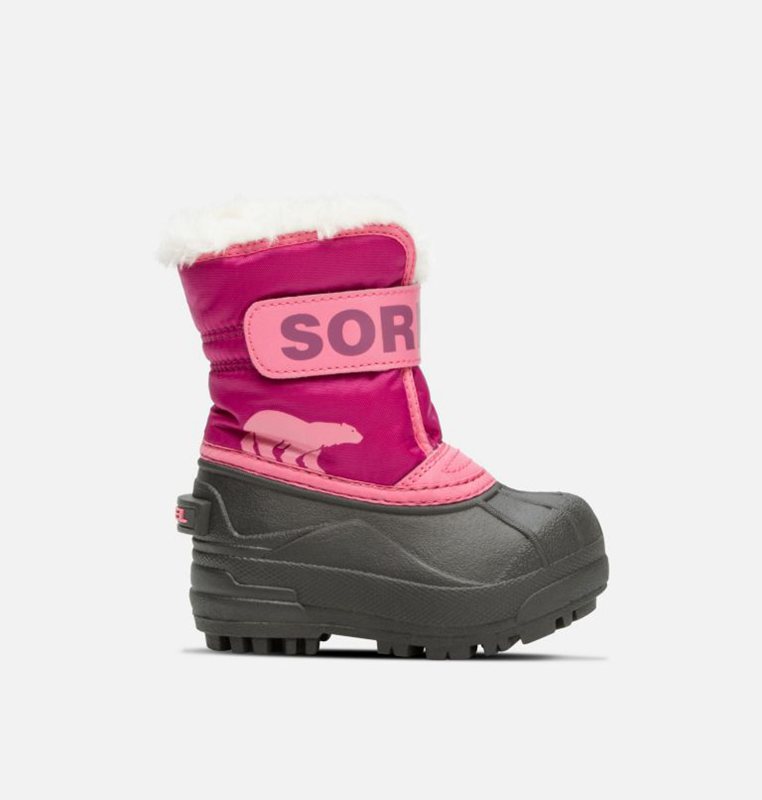 Kids Snow Boots Pink/Black - Sorel Toddler Commander™ - 725-GIVDBH